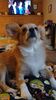 Filename=20241129_002.jpg
Filesize=203KiB
Dimensions=1152x2048
Date added=Jun 14, 2025 20241129_002.jpg