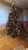 Filename=20241130_001.jpg
Filesize=351KiB
Dimensions=1152x2048
Date added=Jun 14, 2025 20241130_001.jpg