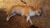Filename=20241130_003.jpg
Filesize=382KiB
Dimensions=2048x1152
Date added=Jun 14, 2025 20241130_003.jpg
