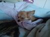 Filename=20241201_001.jpg
Filesize=261KiB
Dimensions=2048x1536
Date added=Jun 19, 2025 20241201_001.jpg