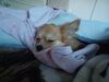 Filename=20241201_002.jpg
Filesize=217KiB
Dimensions=2048x1536
Date added=Jun 19, 2025 20241201_002.jpg