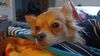 Filename=20241201_003.jpg
Filesize=161KiB
Dimensions=2048x1152
Date added=Jun 19, 2025 20241201_003.jpg