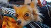 Filename=20241201_004.jpg
Filesize=197KiB
Dimensions=2048x1152
Date added=Jun 19, 2025 20241201_004.jpg