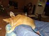 Filename=20241202_001.jpg
Filesize=638KiB
Dimensions=2048x1536
Date added=Jun 19, 2025 20241202_001.jpg