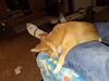 Filename=20241202_002.jpg
Filesize=645KiB
Dimensions=2048x1536
Date added=Jun 19, 2025 20241202_002.jpg