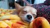 Filename=20241203_002.jpg
Filesize=267KiB
Dimensions=2048x1152
Date added=Jun 19, 2025 20241203_002.jpg