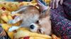 Filename=20241203_003.jpg
Filesize=332KiB
Dimensions=2048x1152
Date added=Jun 19, 2025 20241203_003.jpg