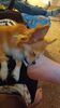 Filename=20241206_004.jpg
Filesize=190KiB
Dimensions=1152x2048
Date added=Jun 19, 2025 20241206_004.jpg