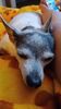Filename=20241206_005.jpg
Filesize=269KiB
Dimensions=1152x2048
Date added=Jun 19, 2025 20241206_005.jpg