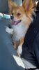 Filename=20241211_002.jpg
Filesize=494KiB
Dimensions=1152x2048
Date added=Jun 19, 2025 20241211_002.jpg