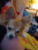 Filename=20241211_003.jpg
Filesize=292KiB
Dimensions=1536x2048
Date added=Jun 19, 2025 20241211_003.jpg