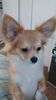 Filename=20241213_001.jpg
Filesize=131KiB
Dimensions=1152x2048
Date added=Jun 19, 2025 20241213_001.jpg