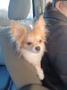 Filename=20241213_002.jpg
Filesize=365KiB
Dimensions=1536x2048
Date added=Jun 19, 2025 20241213_002.jpg