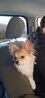Filename=20241213_003.jpg
Filesize=185KiB
Dimensions=937x2046
Date added=Jun 19, 2025 20241213_003.jpg