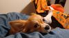 Filename=20241215_001.jpg
Filesize=208KiB
Dimensions=2048x1152
Date added=Jun 19, 2025 20241215_001.jpg