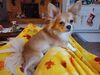 Filename=20241215_003.jpg
Filesize=413KiB
Dimensions=2048x1536
Date added=Jun 19, 2025 20241215_003.jpg
