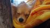 Filename=20241218_003.jpg
Filesize=166KiB
Dimensions=2048x1152
Date added=Jun 19, 2025 20241218_003.jpg