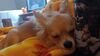 Filename=20241218_004.jpg
Filesize=139KiB
Dimensions=2048x1152
Date added=Jun 19, 2025 20241218_004.jpg
