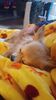 Filename=20241218_005.jpg
Filesize=150KiB
Dimensions=1152x2048
Date added=Jun 19, 2025 20241218_005.jpg