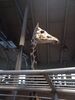 Filename=20241220_013.jpg
Filesize=387KiB
Dimensions=1536x2048
Date added=Jun 19, 2025 20241220_013.jpg