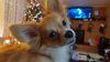 Filename=20241222_006.jpg
Filesize=200KiB
Dimensions=2048x1152
Date added=Jun 19, 2025 20241222_006.jpg