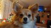 Filename=20241222_007.jpg
Filesize=179KiB
Dimensions=2048x1152
Date added=Jun 19, 2025 20241222_007.jpg