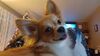 Filename=20241222_008.jpg
Filesize=187KiB
Dimensions=2048x1152
Date added=Jun 19, 2025 20241222_008.jpg