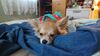 20241225_003.jpg