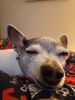 20250113_003.jpg