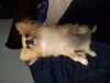 20250323_004.jpg