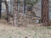 20250328_022.jpg