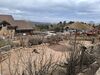 20250328_045.jpg