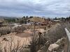 20250328_046.jpg