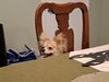 Filename=20250605_010.jpg
Filesize=2189KiB
Dimensions=2048x1536
Date added=Jul 10, 2025 20250605_010.jpg