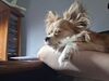 Filename=20250606_001.jpg
Filesize=2518KiB
Dimensions=2048x1536
Date added=Jul 10, 2025 20250606_001.jpg