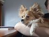 Filename=20250606_002.jpg
Filesize=2525KiB
Dimensions=2048x1536
Date added=Jul 10, 2025 20250606_002.jpg