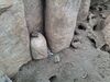Filename=20250611_025.jpg
Filesize=6052KiB
Dimensions=2048x1536
Date added=Jul 10, 2025 20250611_025.jpg