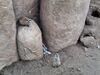 Filename=20250611_027.jpg
Filesize=4112KiB
Dimensions=2048x1536
Date added=Jul 10, 2025 20250611_027.jpg