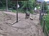 Filename=20250611_028.jpg
Filesize=4064KiB
Dimensions=2048x1536
Date added=Jul 10, 2025 20250611_028.jpg