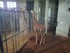 Filename=20250611_030.jpg
Filesize=3816KiB
Dimensions=2048x1536
Date added=Jul 10, 2025 20250611_030.jpg