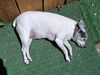 Filename=20250616_002.jpg
Filesize=5139KiB
Dimensions=2048x1536
Date added=Jul 10, 2025 20250616_002.jpg