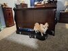 Filename=20250617_001.jpg
Filesize=3540KiB
Dimensions=2048x1536
Date added=Jul 10, 2025 20250617_001.jpg