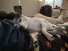 Filename=20250617_003.jpg
Filesize=3526KiB
Dimensions=2048x1536
Date added=Jul 10, 2025 20250617_003.jpg