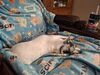 Filename=20250622_003.jpg
Filesize=4203KiB
Dimensions=2048x1536
Date added=Jul 10, 2025 20250622_003.jpg