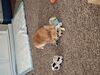 Filename=20250622_005.jpg
Filesize=3488KiB
Dimensions=2048x1536
Date added=Jul 10, 2025 20250622_005.jpg