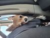 Filename=20250627_003.jpg
Filesize=3662KiB
Dimensions=2048x1536
Date added=Jul 10, 2025 20250627_003.jpg
