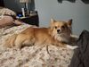Filename=20250705_002.jpg
Filesize=445KiB
Dimensions=2048x1536
Date added=Sep 01, 2025 20250705_002.jpg