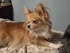 Filename=20250705_003.jpg
Filesize=478KiB
Dimensions=2048x1536
Date added=Sep 01, 2025 20250705_003.jpg