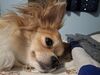 Filename=20250708_001.jpg
Filesize=414KiB
Dimensions=2048x1536
Date added=Sep 01, 2025 20250708_001.jpg