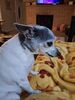 Filename=20250713_001.jpg
Filesize=387KiB
Dimensions=1536x2048
Date added=Sep 01, 2025 20250713_001.jpg